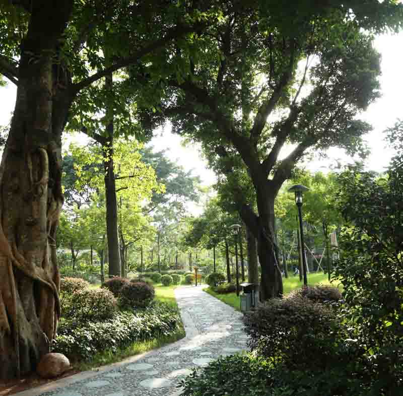 廣州市標志性廣場--海珠廣場園林景觀工程